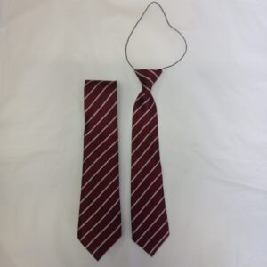 Gealscoil Ui Riordain