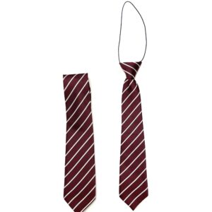 Gaelscoil Ui Riordain Long Tie