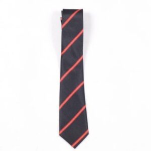 Coláiste an Croí Naofa Tie